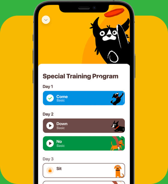 Special Training Program app view