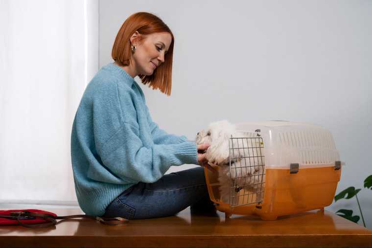 how to potty train a puppy in a crate