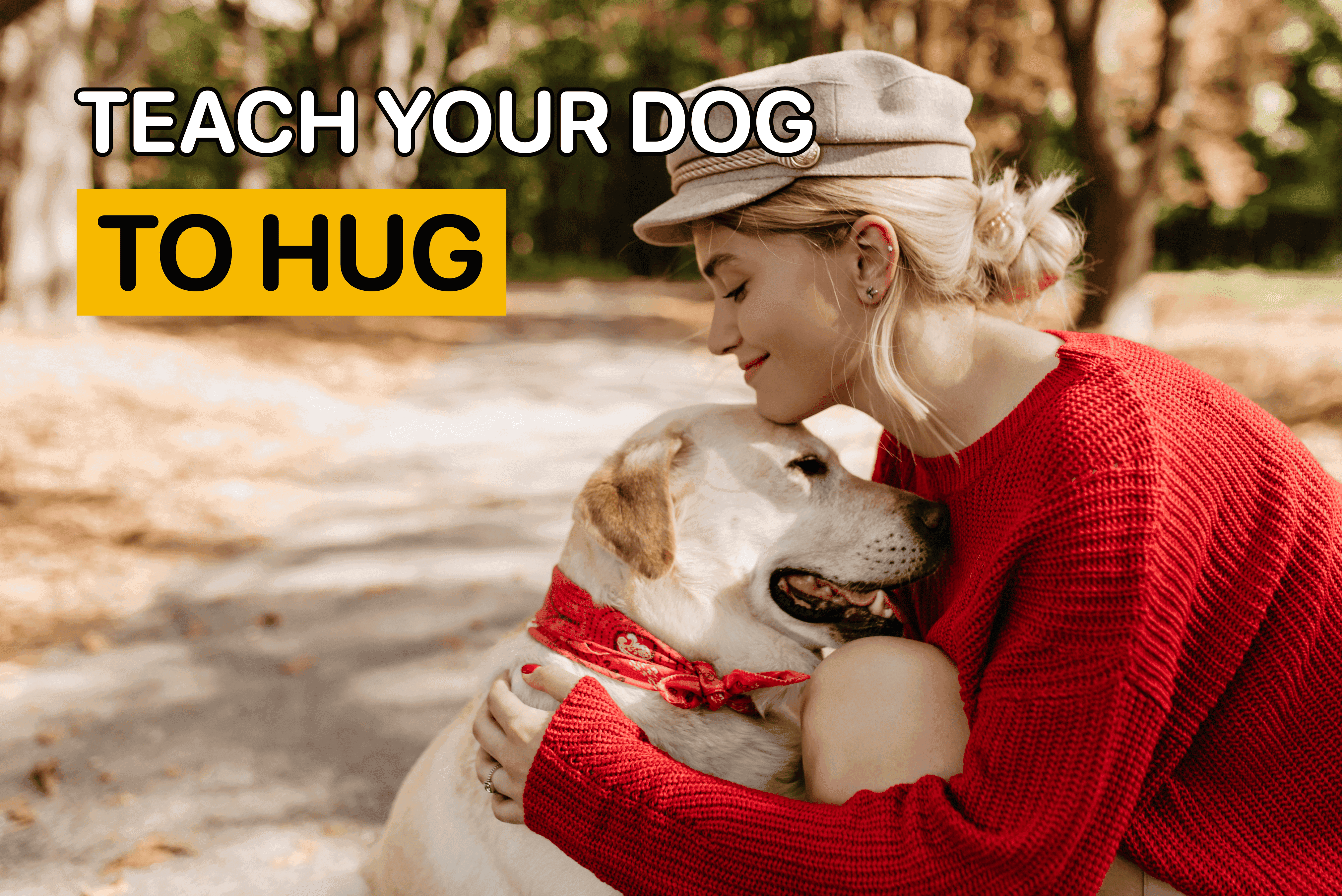 how to teach your dog to hug