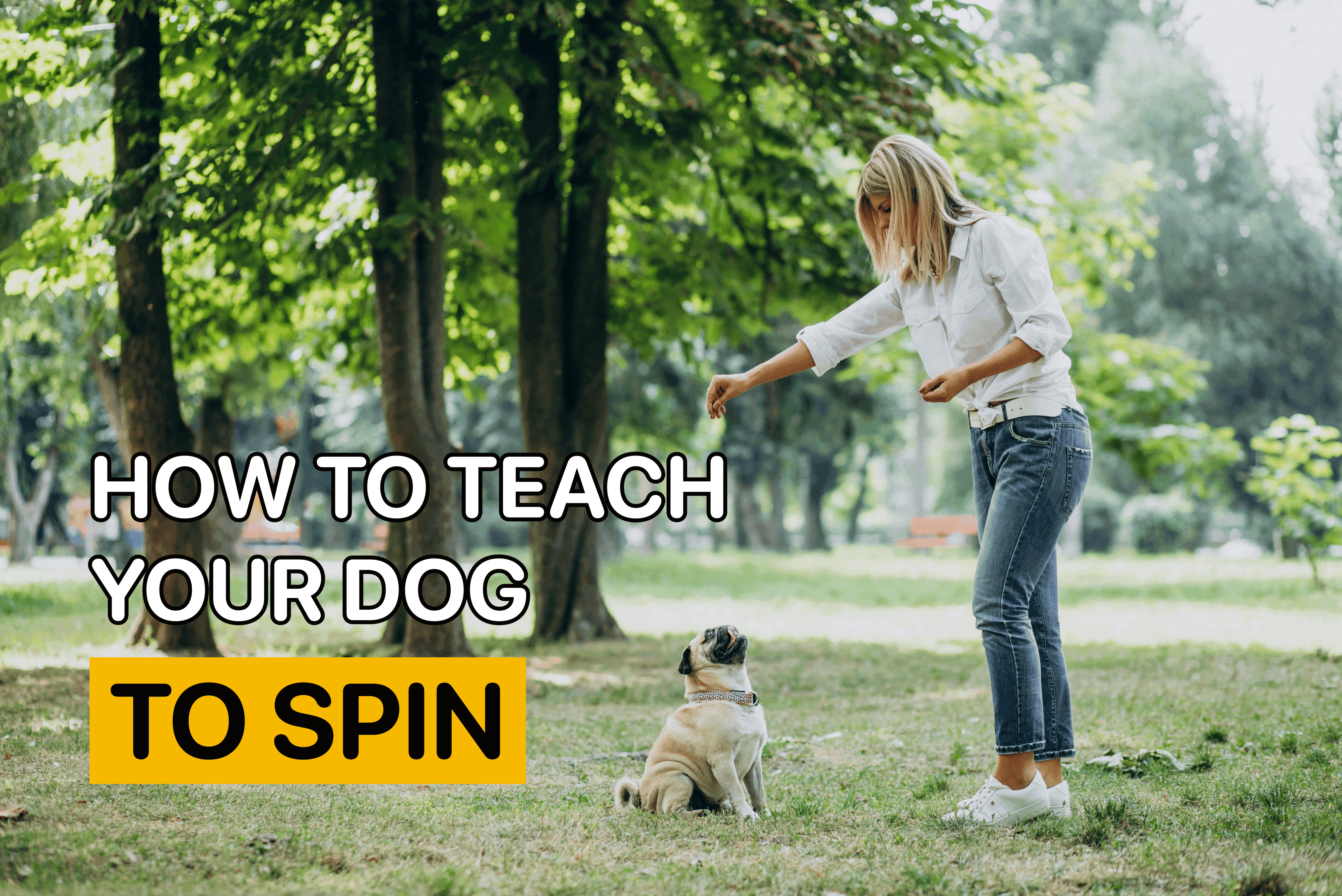 how to teach your dog to spin