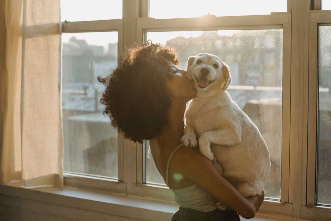 signs your dog loves you