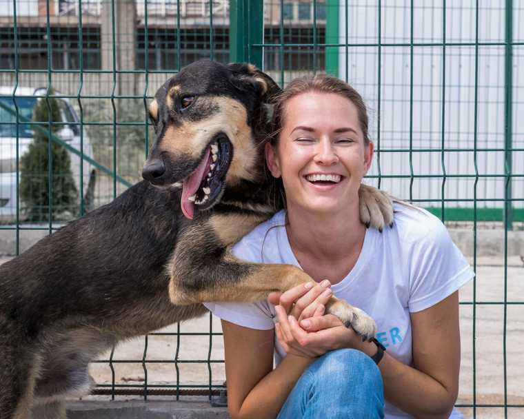 train adopted dog