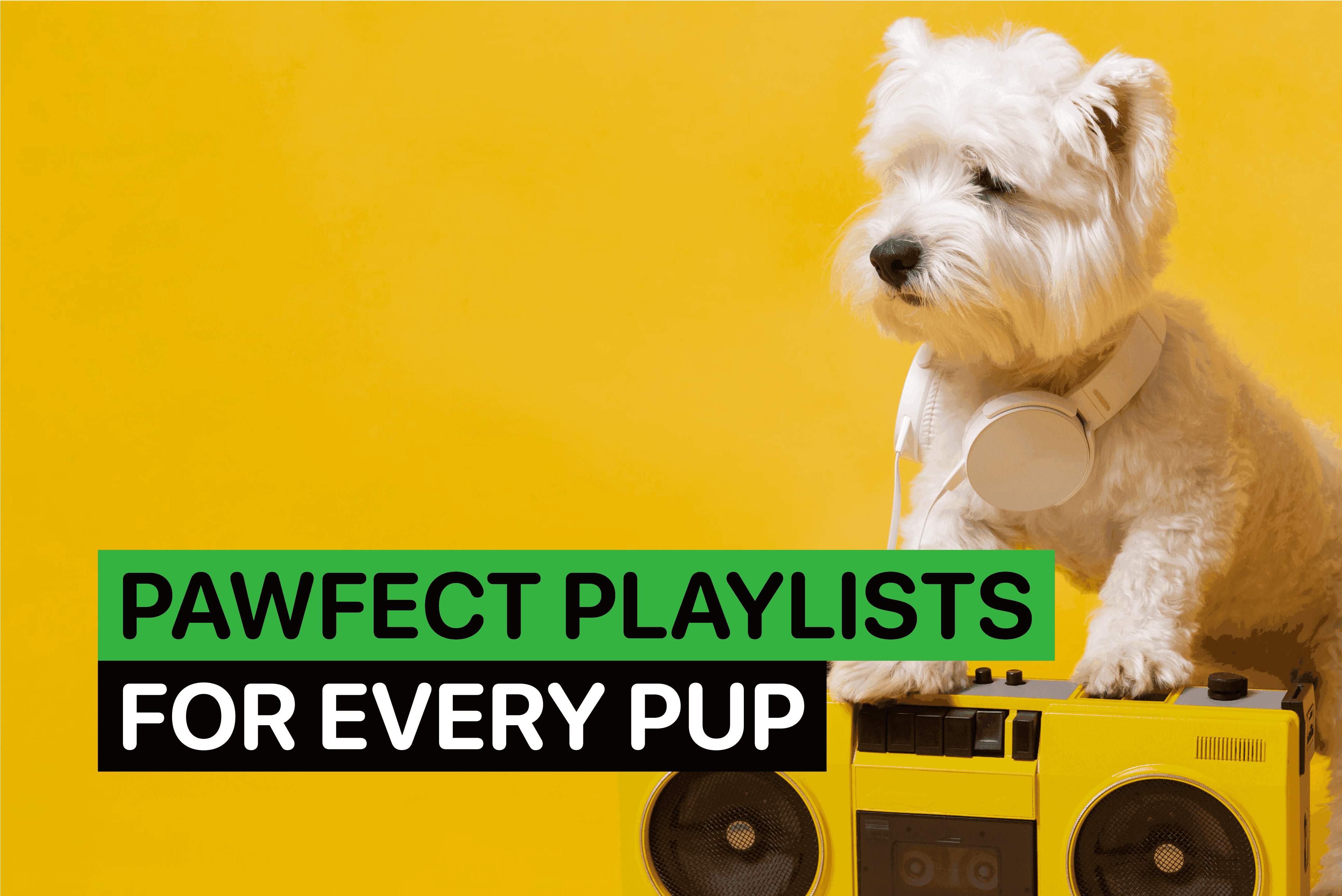 music for dogs