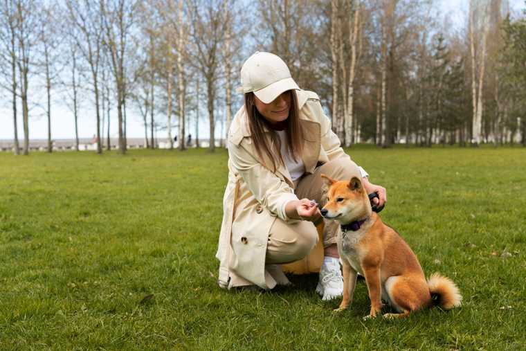 how to teach a dog to touch