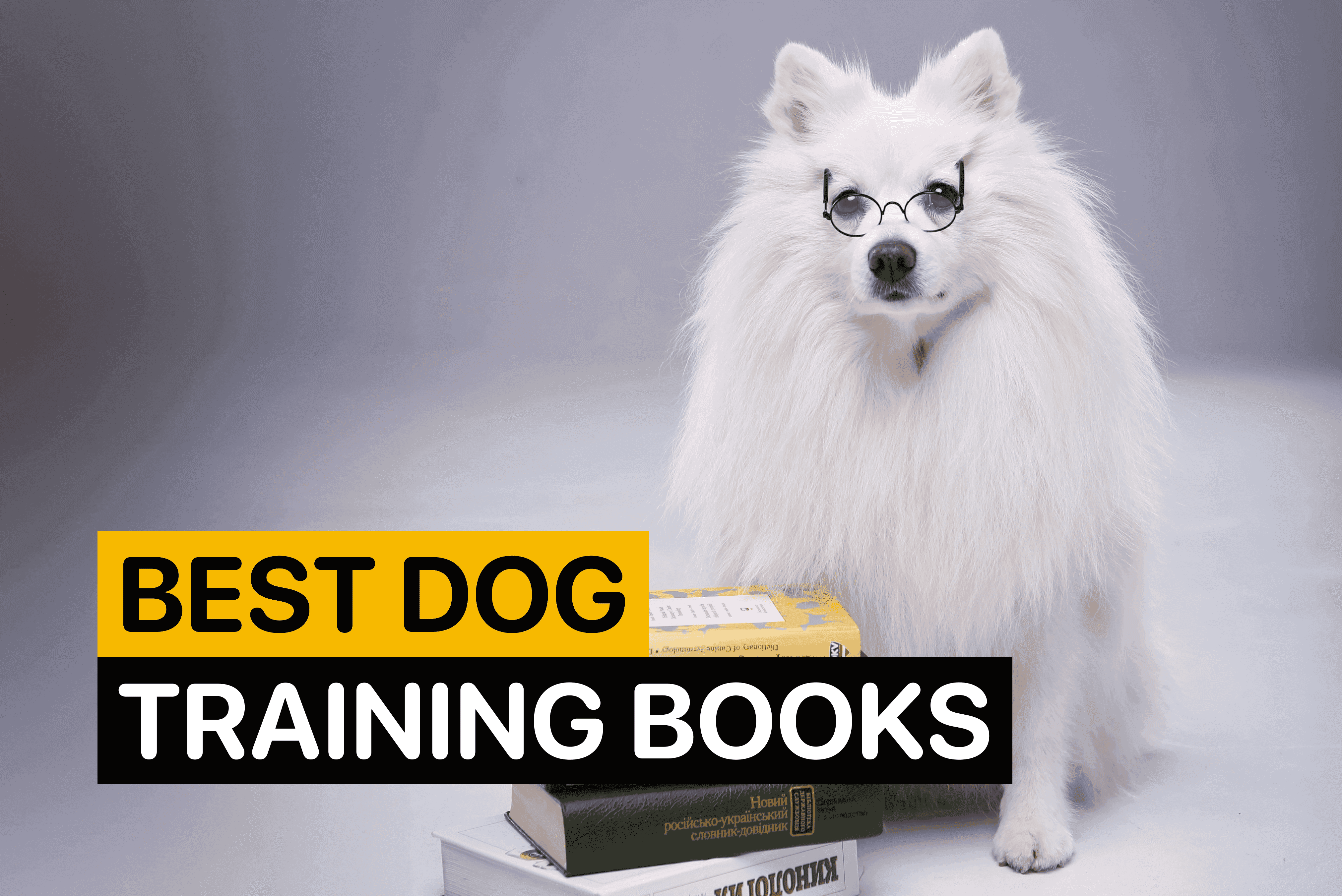 best dog training books