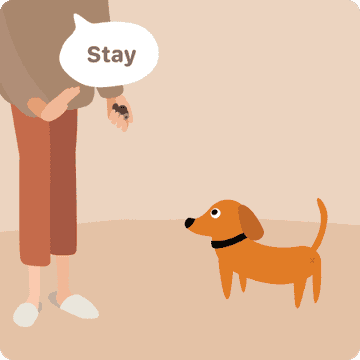 hand signal for stay for dogs