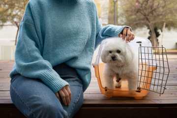 how to crate train a puppy fast