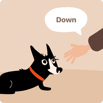 hand signal for down dog