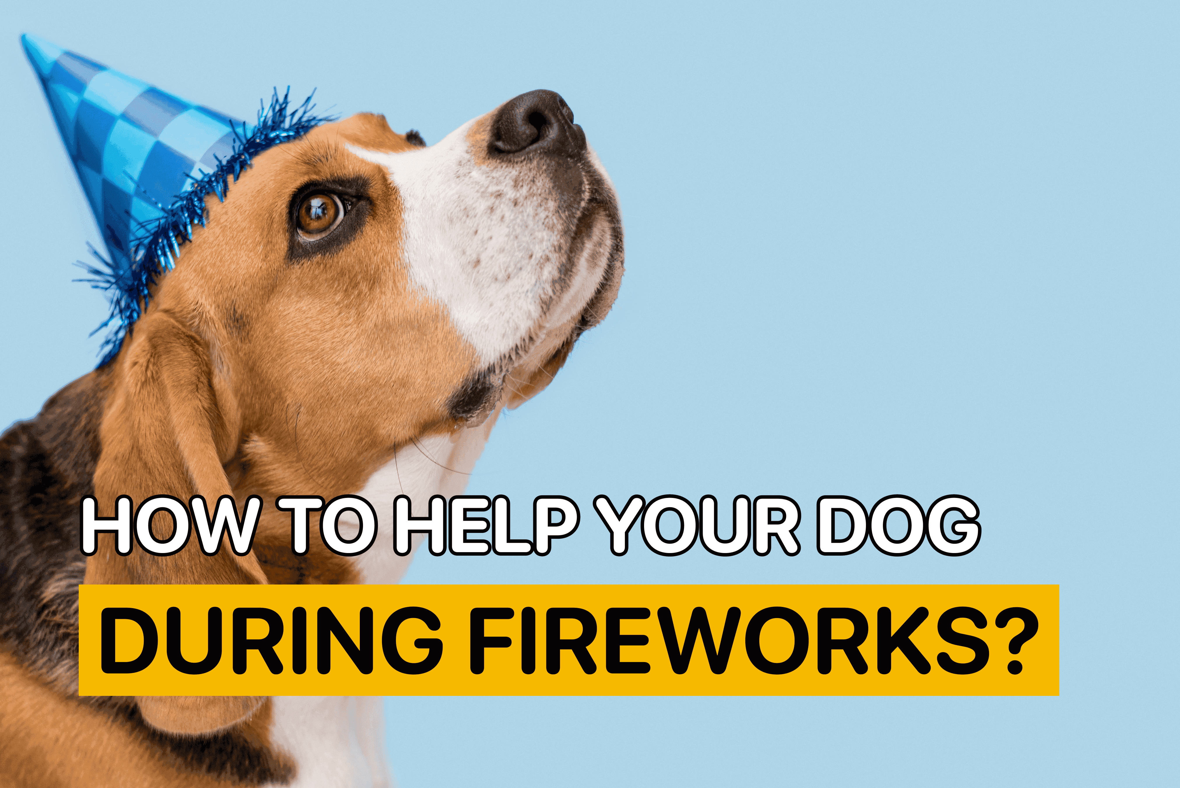 how to help your dog during fireworks