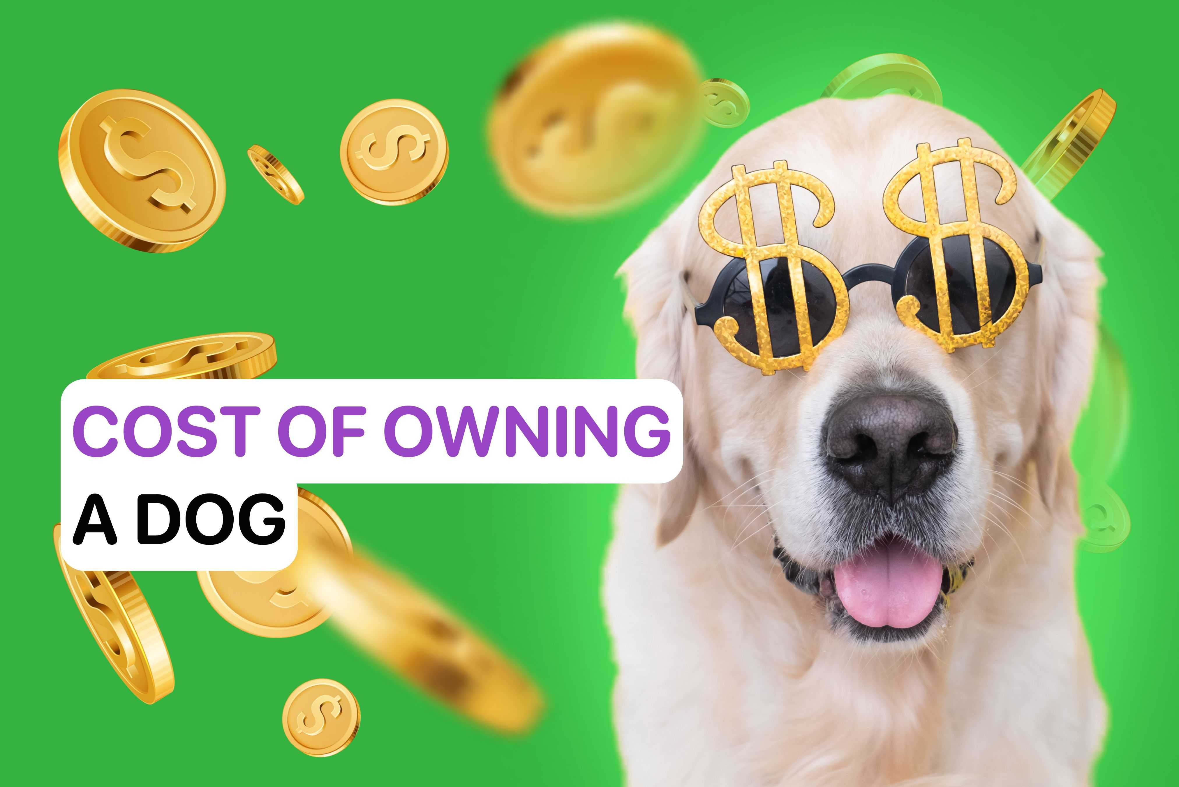 cost of owning a dog