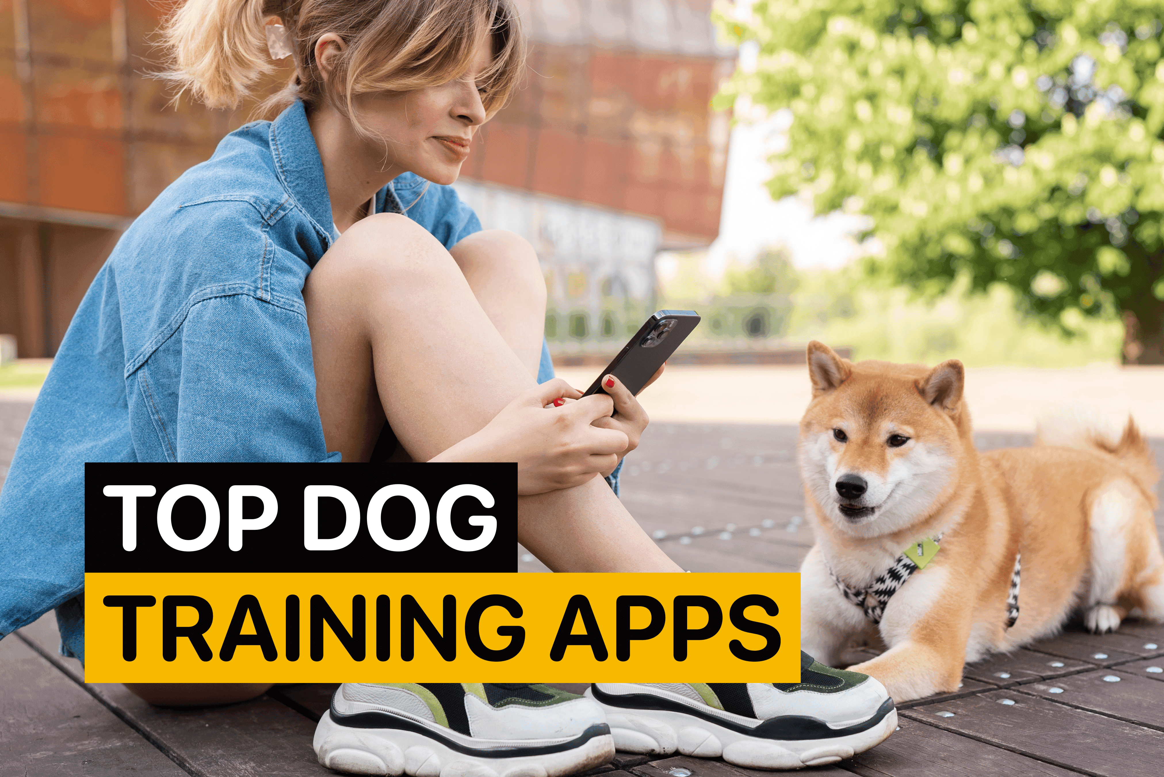 top dog training apps