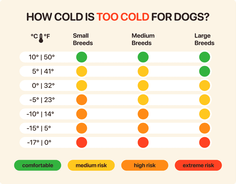 what temp is too cold for dogs to walk