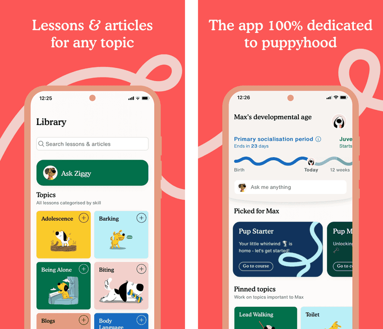 zigzag app