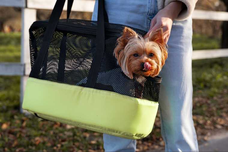 benefits of crate training