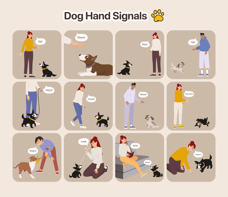 list of dog commands and hand signals