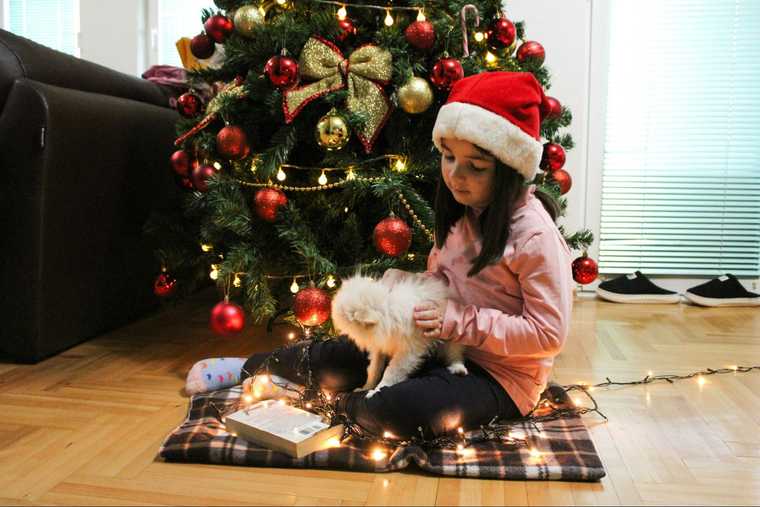 puppies and christmas trees