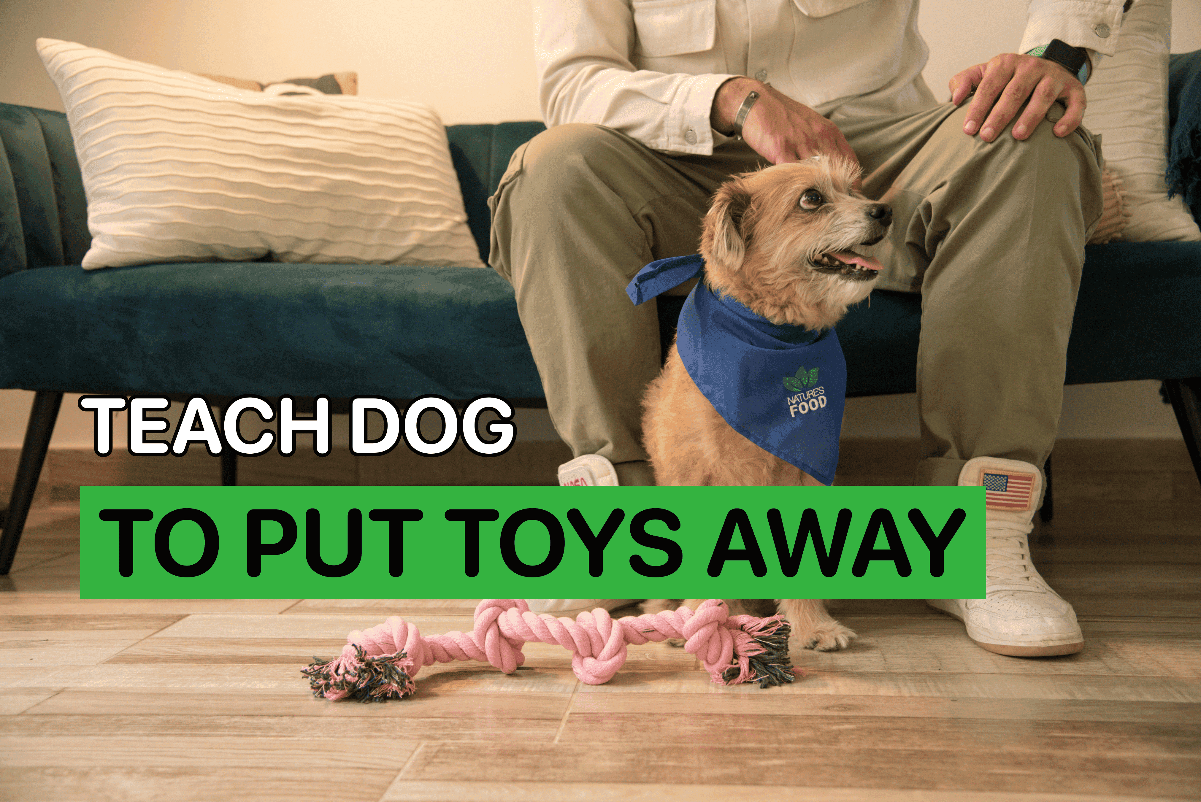 how to teach dog to pick up toys