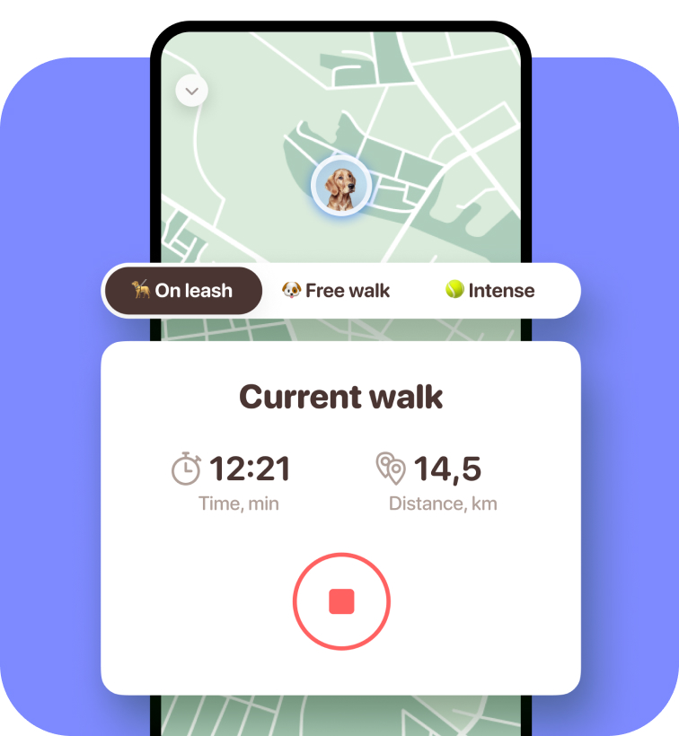 walking tracker for dogs